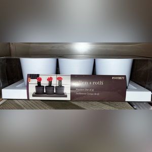 Allen+Roth set of 3 planters with tray - White